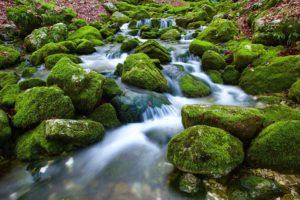 grundwasser