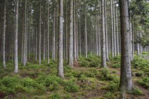 klimawandel