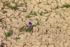 klimawandel