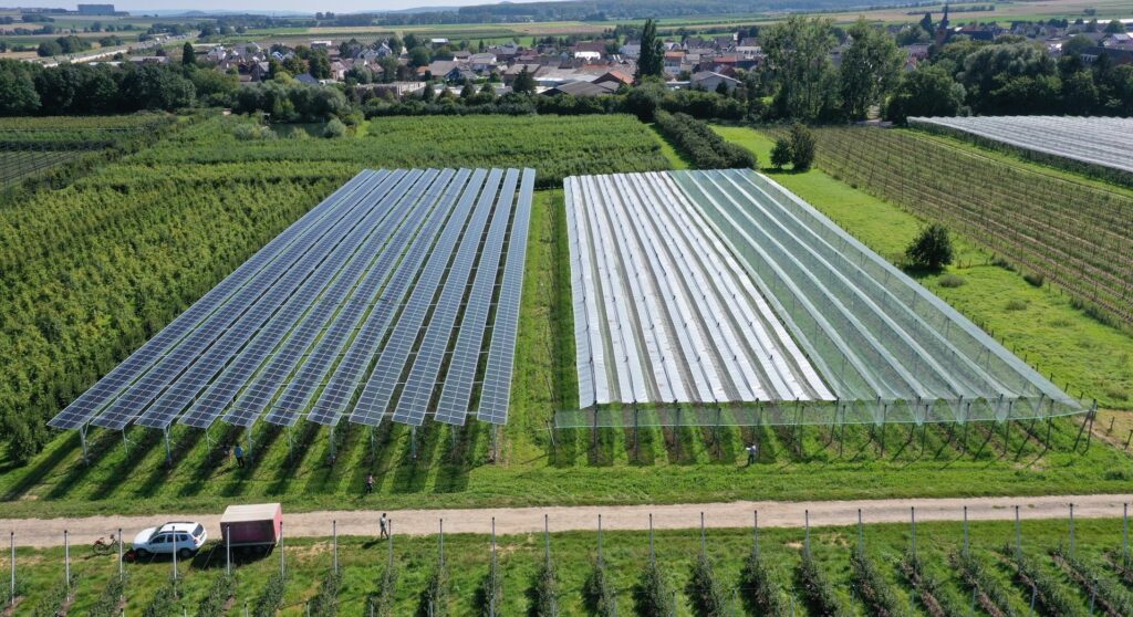 agri-photovoltaik