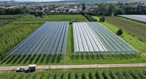 agri-photovoltaik