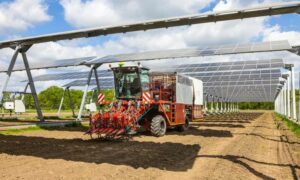 agri-photovoltaik