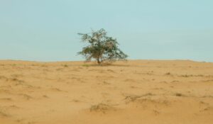 sahelzone