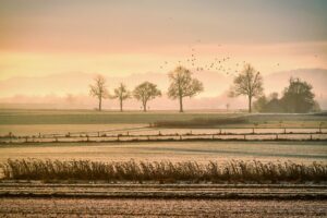 winter
