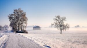 wetter