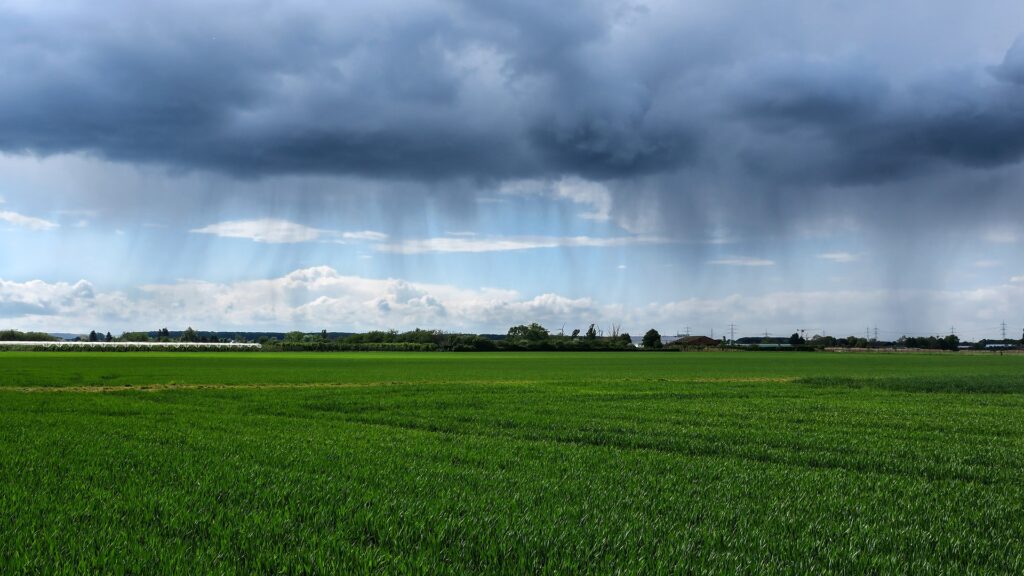 Regenwolken über einer Wiese