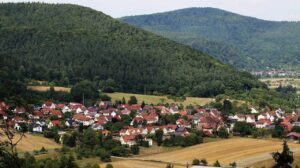 dorf in einem tal, dahinter ein wald